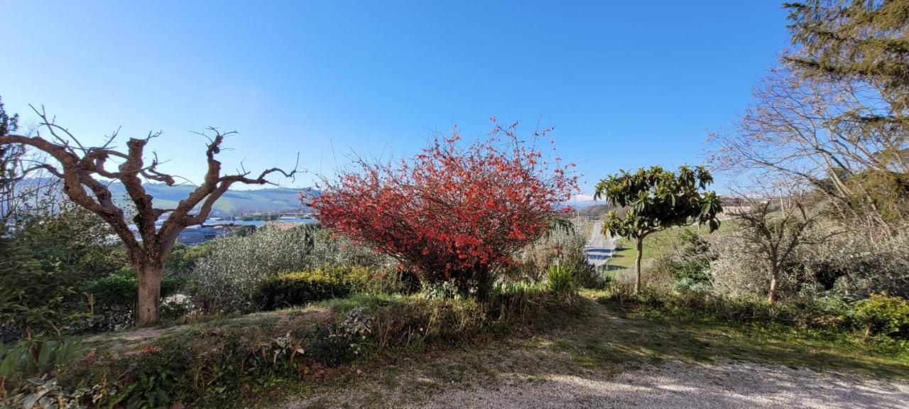 Ferienwohnung La Casa Rosa Molini di Tenna Exterior foto